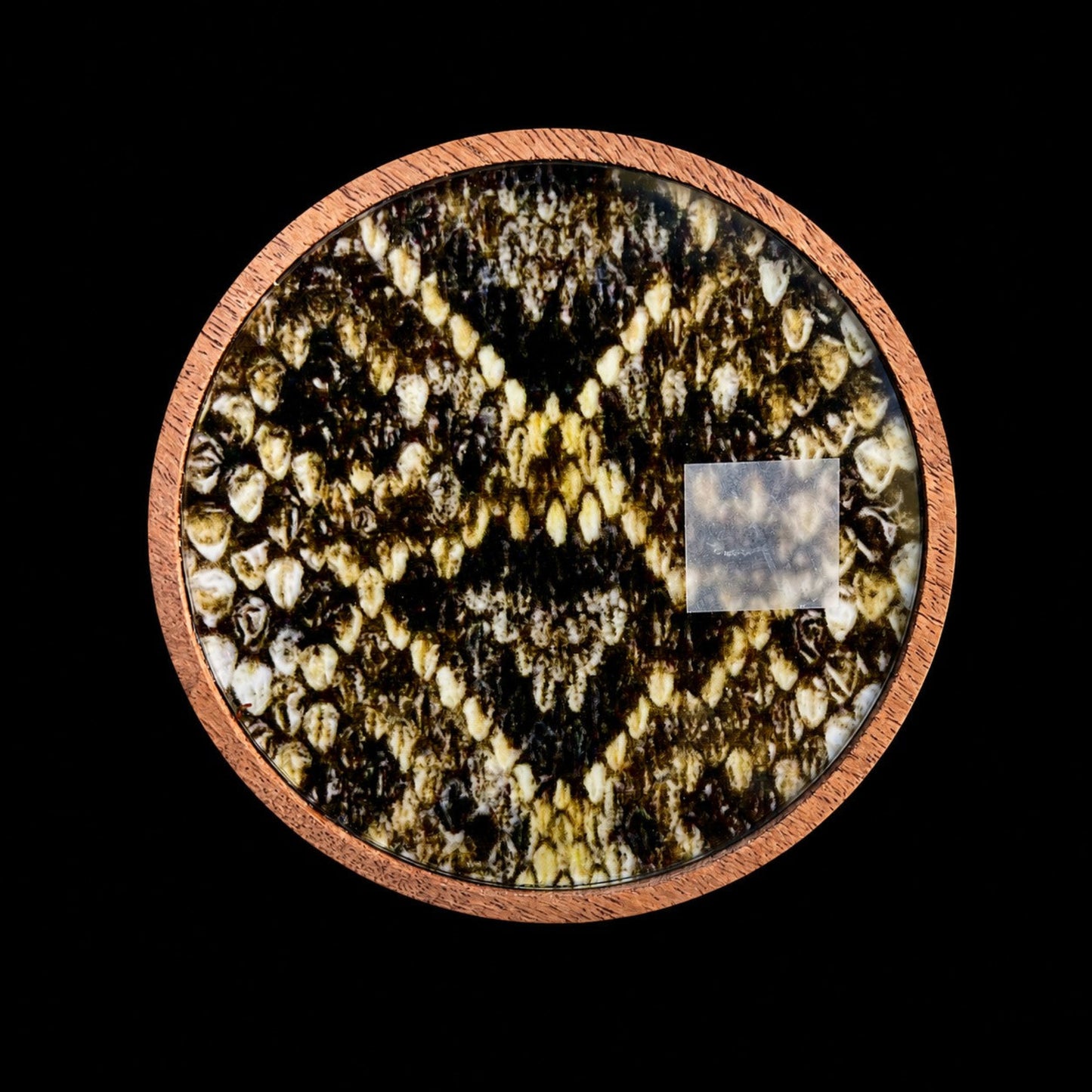 Mesquite - Snake Crystal